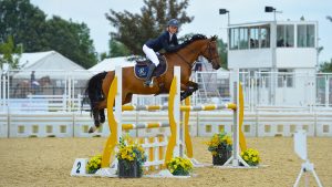 Rider at Stoneleigh Park