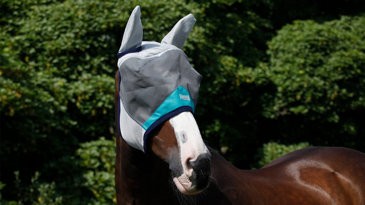 Best fly masks for horses in a range of designs Horse & Hound