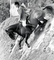 Michael Whitaker and Owen Gregory in the Hickstead Derby