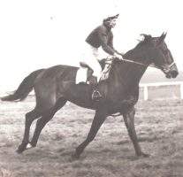 Pat Kerby had a remarkable point-to-point careering spanning 30 years