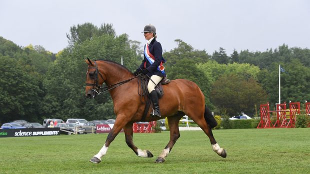 Royal International Horse Show tickets