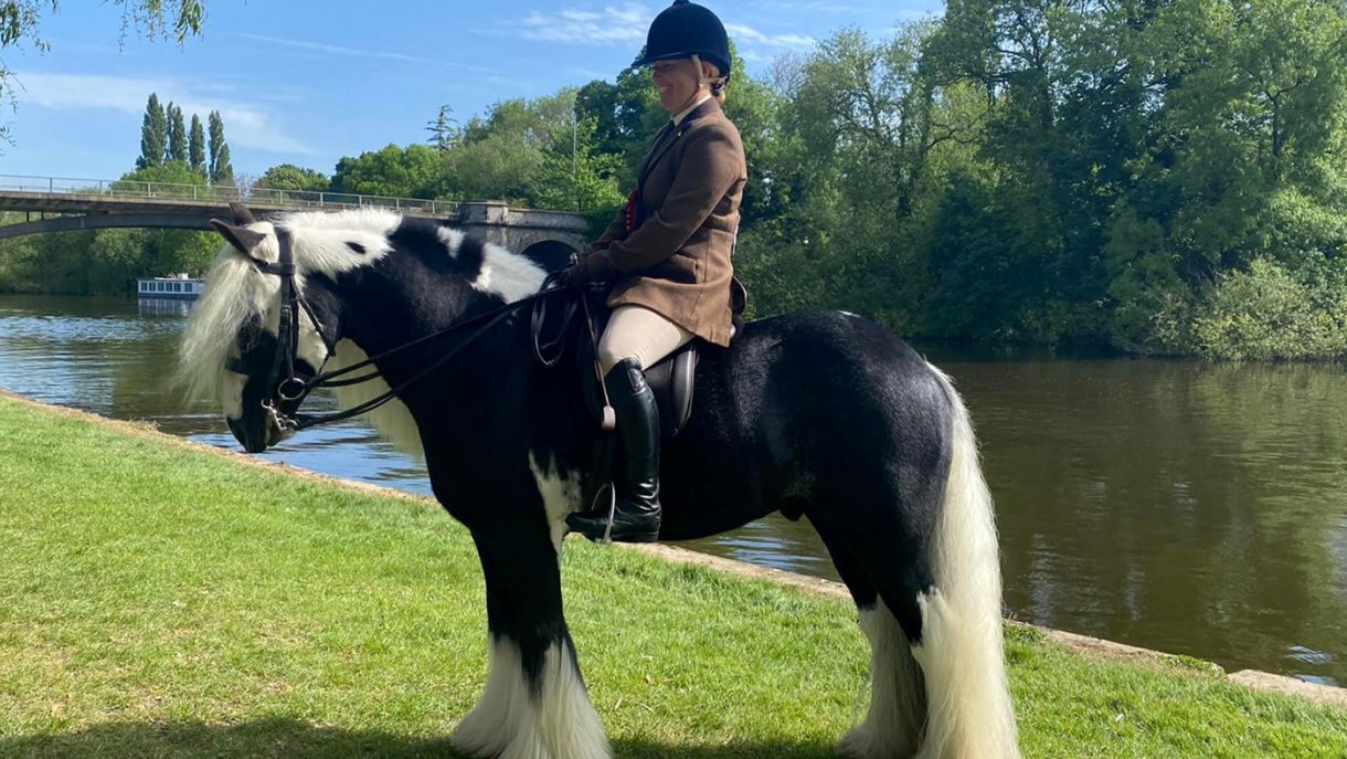 Road to RIHS ‘As a foal he was running wild on a motorway’ — rescue