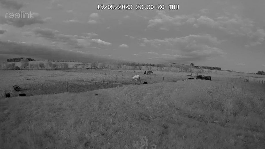 Night footage from Reolink Go PT Plus