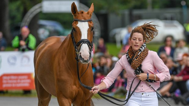 Bramham Horse Trials final trot-up: Sammy Oliver and Kellypsa Van T Asscahaut