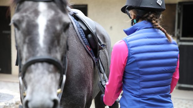 Rider putting riding kit on horse