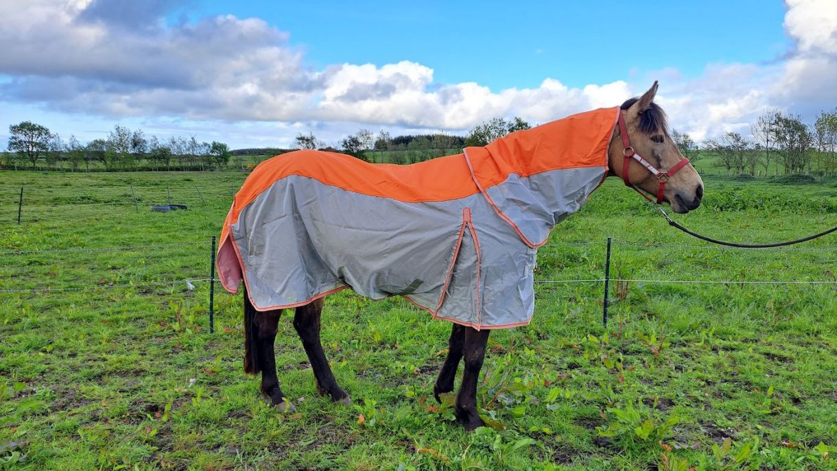 Swish Equestrian waterproof fly rug review Horse & Hound
