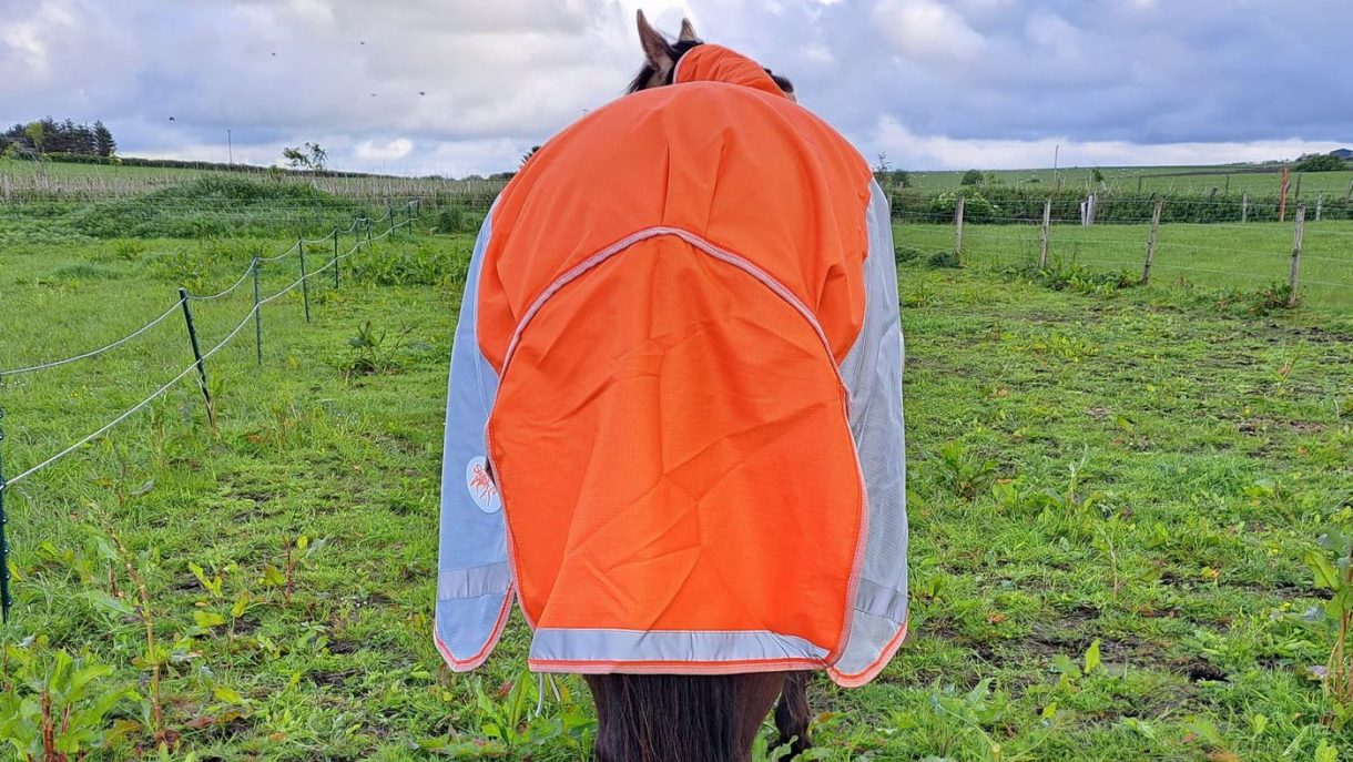 Swish Equestrian waterproof fly rug review Horse & Hound