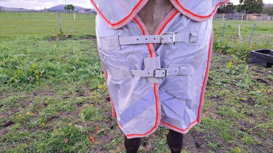 Swish Waterproof Fly Combination Turnout chest fastenings