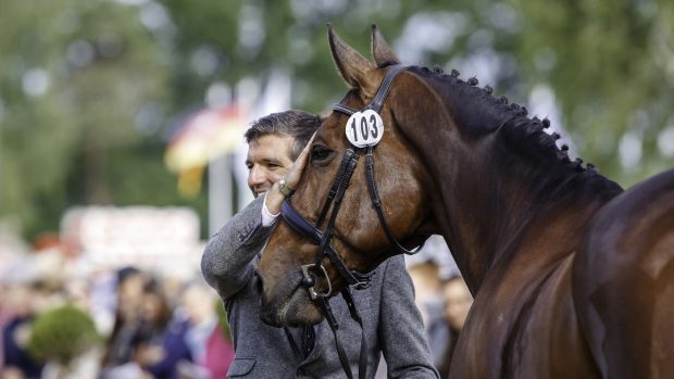 Luhmühlen Horse Trials final trot-up: Redwood Clover and Max Gordon