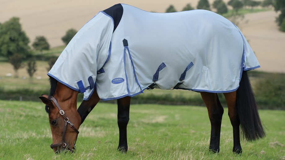 Best fly rugs for horses find the best protection Horse & Hound