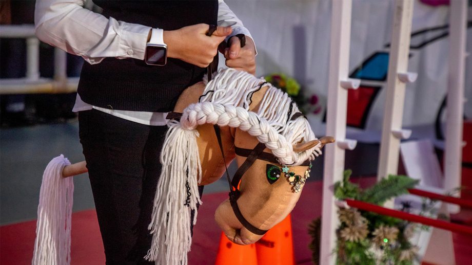 Hobbyhorse is a sport comprising equestrian events with a pony on a stick