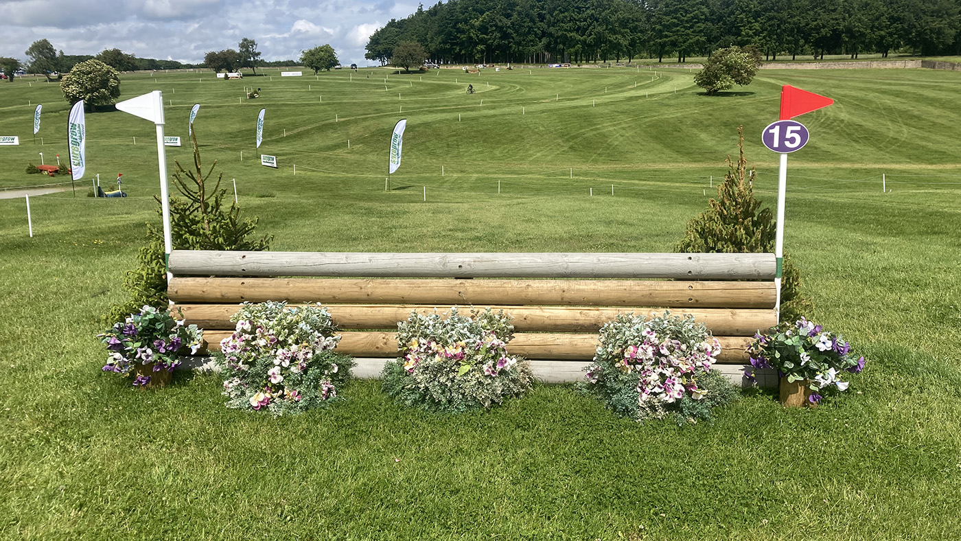 BE80 National Championships cross-country course: fence 15