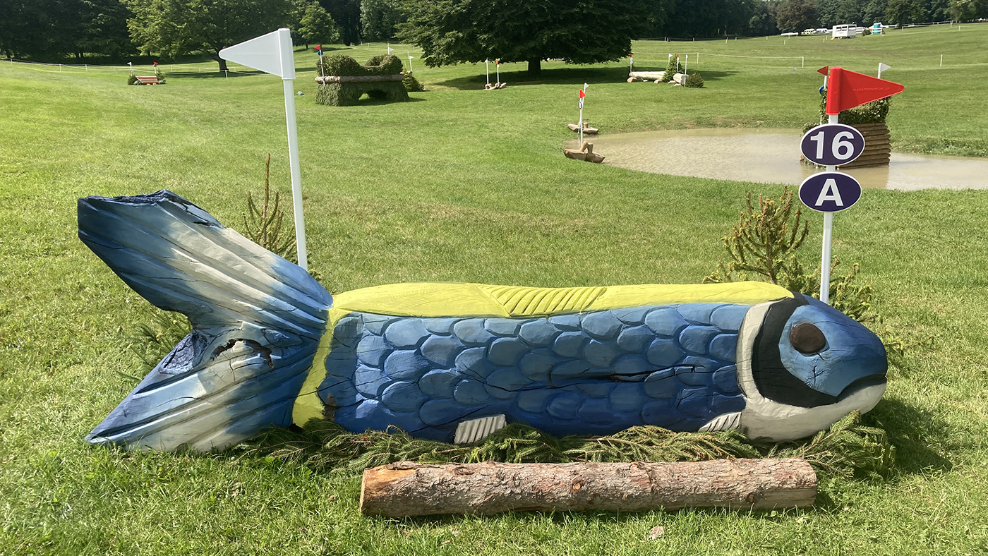 BE80 National Championships cross-country course: fence 16a