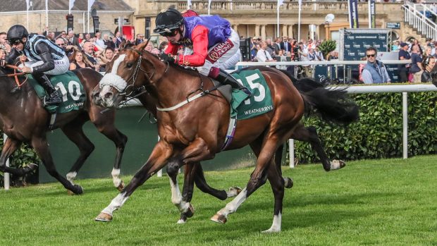 Queen’s horses Royal Ascot King’s Lynn