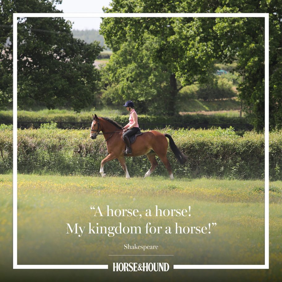 The best horse quotes of all time in pictures from Horse & Hound