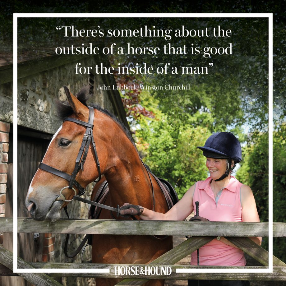 The best horse quotes of all time in pictures from Horse & Hound