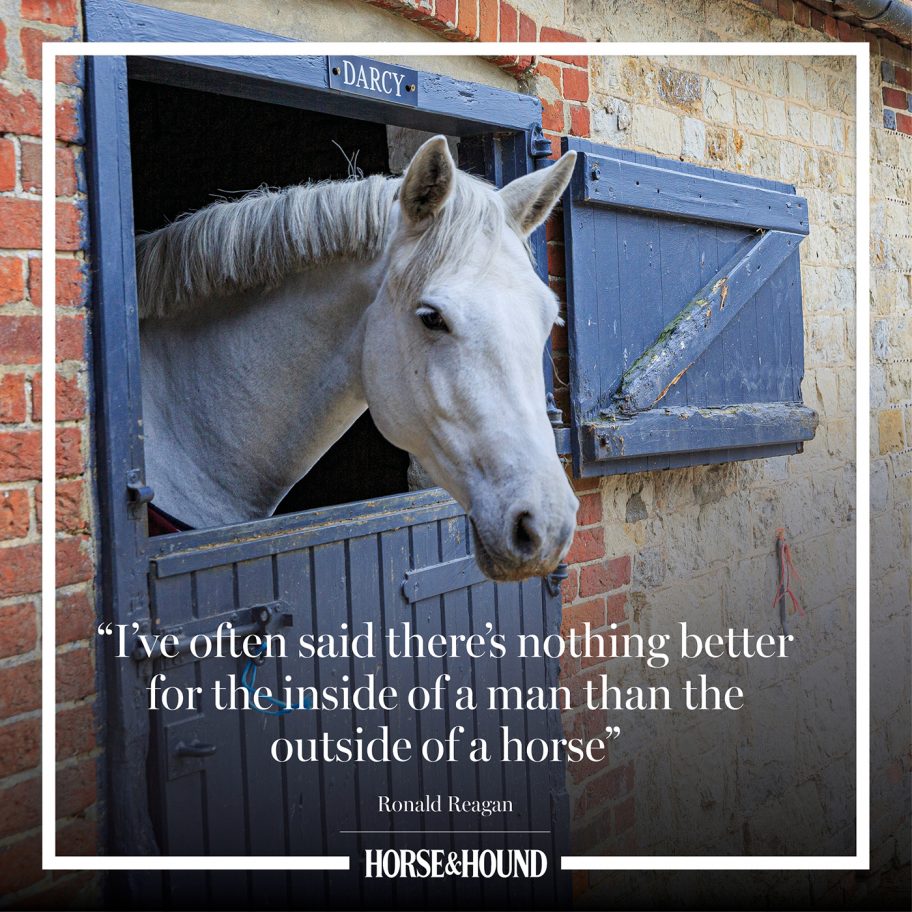 The best horse quotes of all time in pictures from Horse & Hound