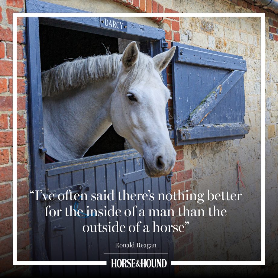 The best horse quotes of all time in pictures from Horse & Hound