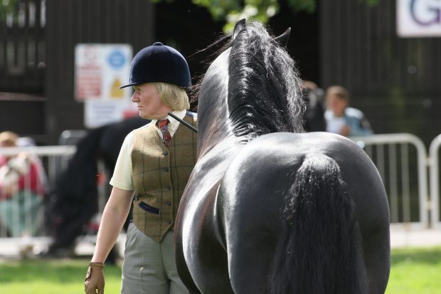 Equifest held at East of England Showground