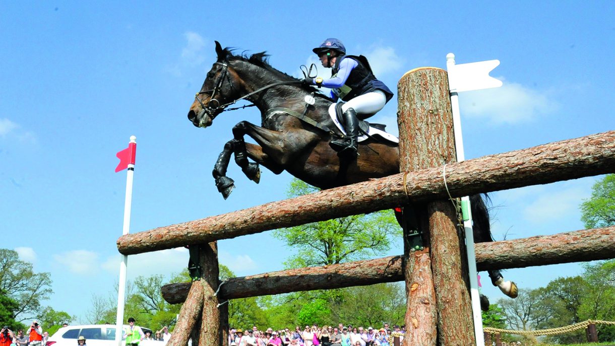 Event horses that died in 2022 a farewell to some greats