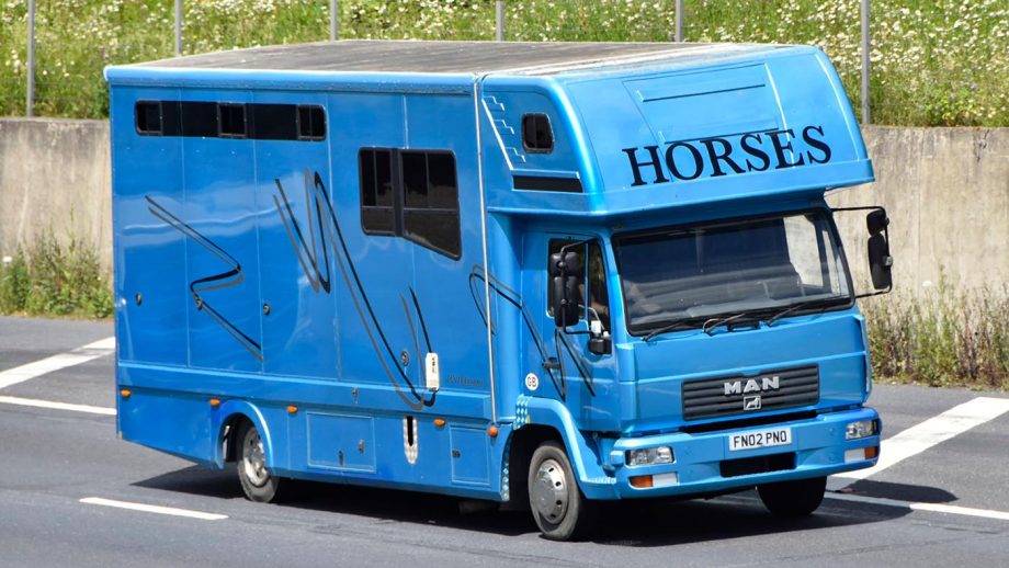 Horsebox or trailer which suits you best for transporting your horse?