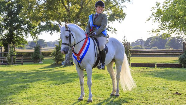 RIHS M&M working hunter pony supreme