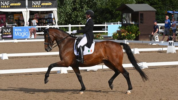 The Irish team for dressage world championships includes Alex Baker, pictured riding Dutchman
