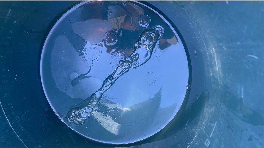 Cavalor Bianco Wash in bucket