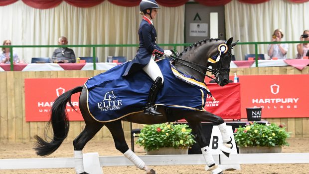 Charlotte Dujardin and Alive And Kicking win the 2022 Elite Stallions young horse PSG final