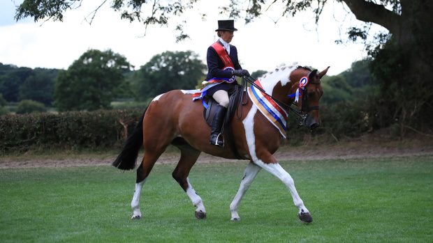 Royal International Horse Show ridden coloured supreme: Jayne Ross and KBF Crescendo