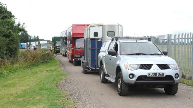 Horsebox or trailer