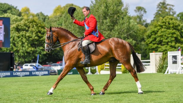 RIHS small hunter championship