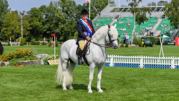 RIHS Heritage M&M supreme