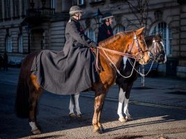 Police horse Elswick has retired from Lancashire Police’s mounted section aged 18