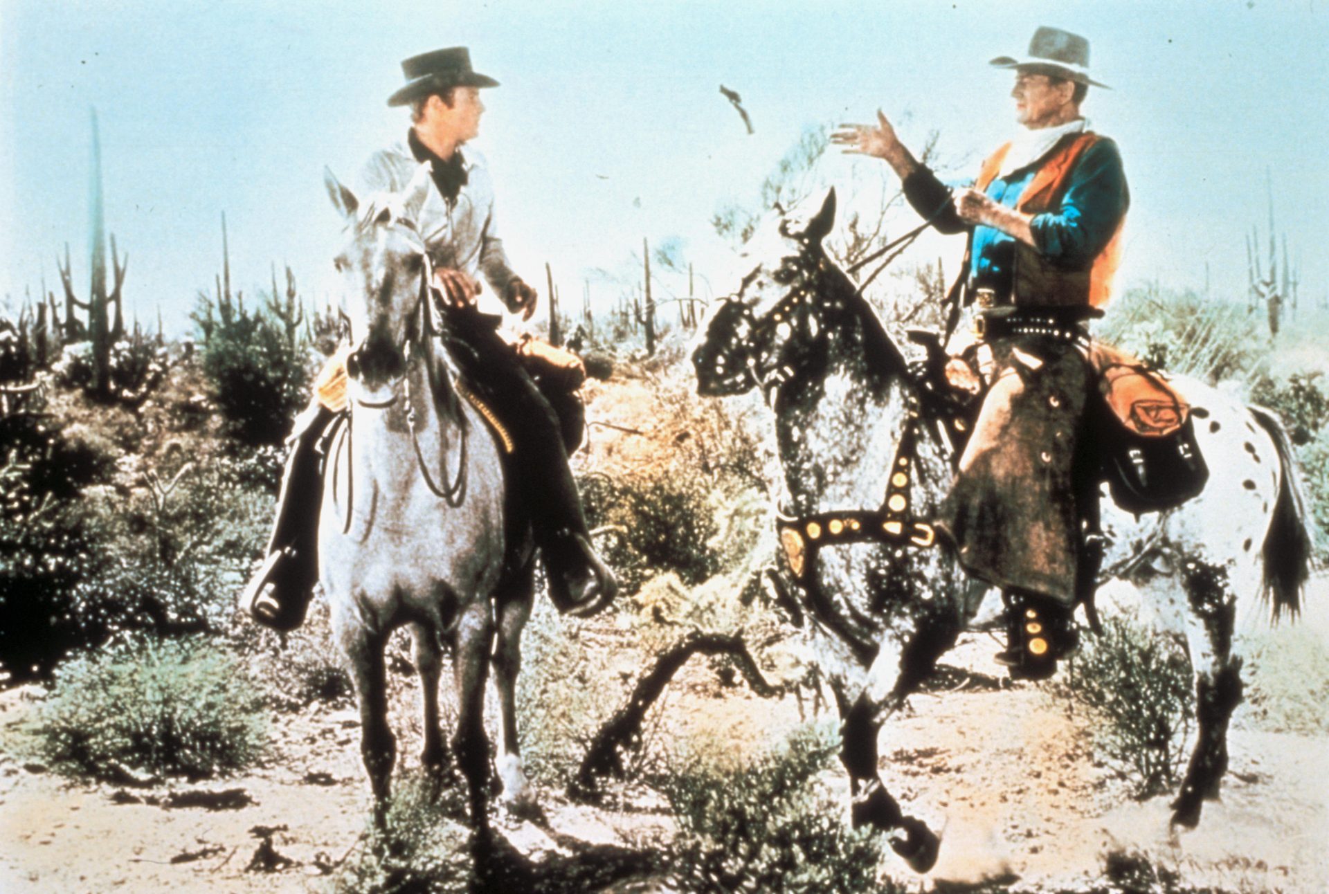 Appaloosa horses the colourful horse with prehistoric roots