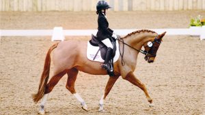 Love Island Gemma Owen competing in pony dressage classes in 2014