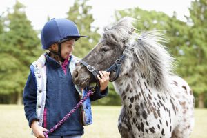 Child wearing a riding hat with a pony