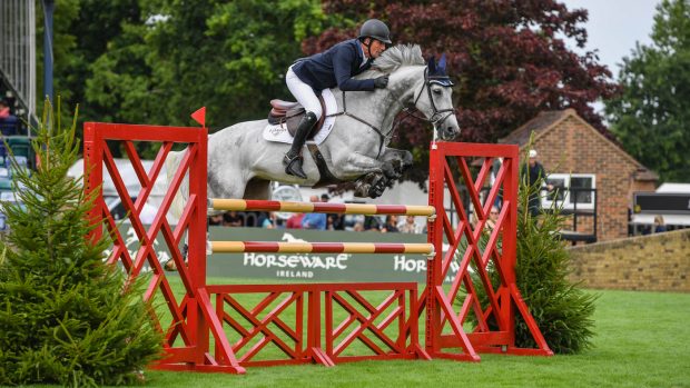 Guy Williams and First Colt impress at Royal International