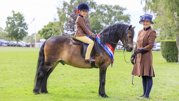 M&M Pretty Polly mini supreme championship