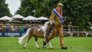 RIHS miniature horse supreme championship