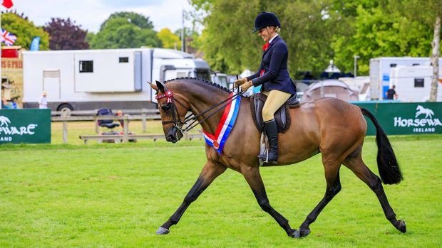 rihs intermediate supreme