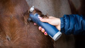 Lister Eclipse handset in use on horse body