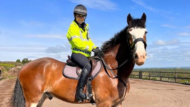 South Yorkshire Police has welcomed new police horse Wortley to the force