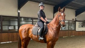 Avon & Somerset Police announced police horse Rocky, pictured, has been put down owing to the injuries he sustained in a road traffic collision in July