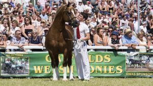 The Royal Welsh Show