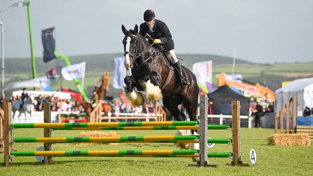 Sampson the Shire in the inter-hunt relay at Cornwall.