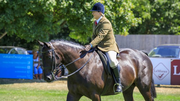 RIHS small amateur hunter championship