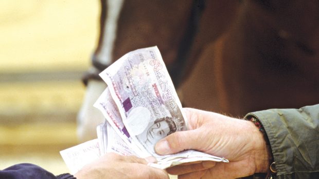 Cash changing hands in front of a horse