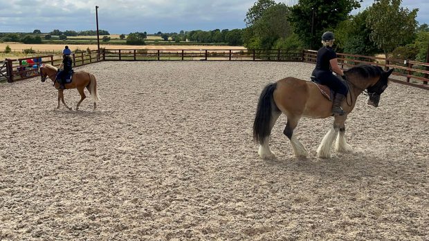 Hovis and Barbie share the school under saddle for the first time
