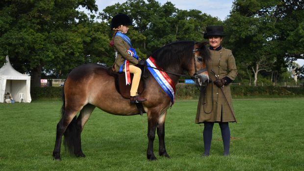 RIHS BSPS Heritage M&M mini supreme